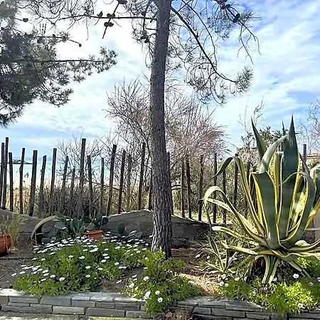 Spacious Maisonette On The 